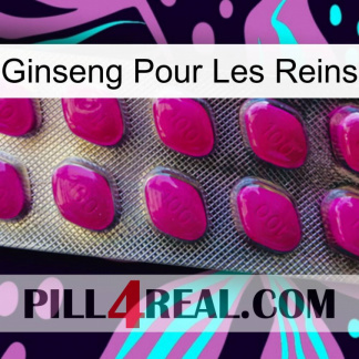 Ginseng For Kidney 09